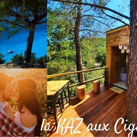 Cabane Dans Les Arbres "La Kaz Aux Cigales" Cuers Dış mekan fotoğraf