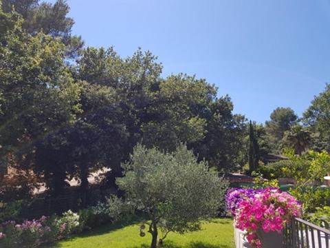 Cabane Dans Les Arbres "La Kaz Aux Cigales" Cuers Dış mekan fotoğraf