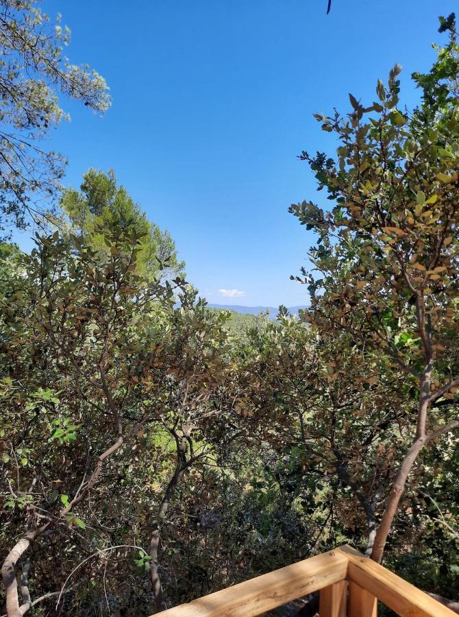 Cabane Dans Les Arbres "La Kaz Aux Cigales" Cuers Dış mekan fotoğraf