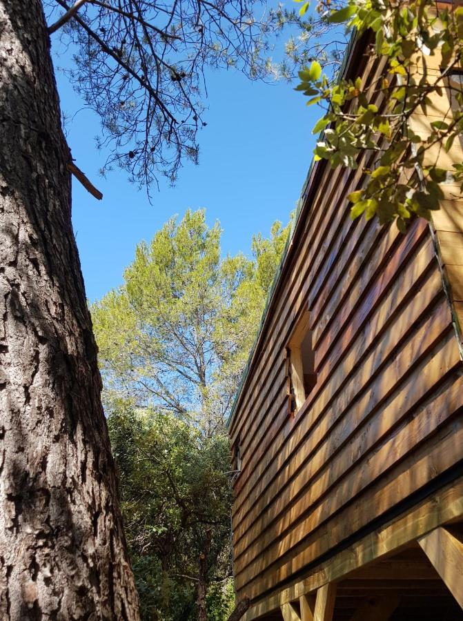 Cabane Dans Les Arbres "La Kaz Aux Cigales" Cuers Dış mekan fotoğraf