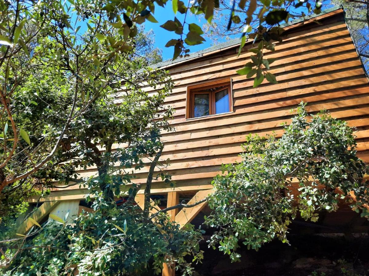 Cabane Dans Les Arbres "La Kaz Aux Cigales" Cuers Dış mekan fotoğraf
